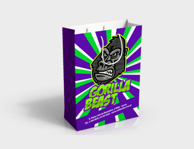 Sacola Média Sulfite 150g Sem Verniz 21x10x31,5cm - 4x0 - 250 unid